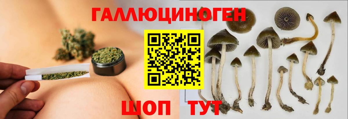 Псилоцибиновые грибы MAGIC MUSHROOMS  Псилоцибиновые грибы Psilocybe  Заволжье  Вход с VPN 